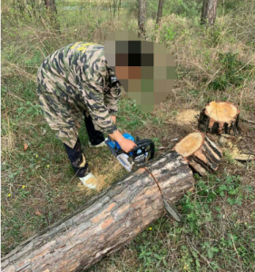 油锯排名前十名都有谁，家用和伐木到底该买哪个牌子？